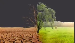Climate and impact investing – observations from Venkata Gandikota